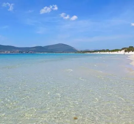 Sole Διαμέρισμα Αλγκέρο