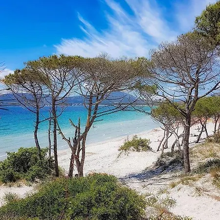 Sole Διαμέρισμα