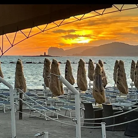 Sole